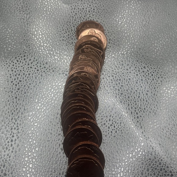 COPPER ROUNDS .999 Fine 1 Oz Buffalo - Tube of 20 Bullion Coins - Picture 15 of 16